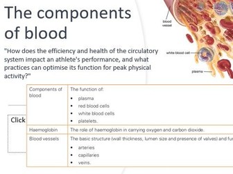 The Circulatory System IGCSE PE CIE Physical Education