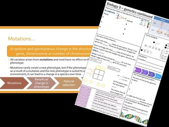 Edexcel CB3 revision ppt & worksheets