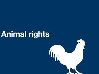 Animal Rights