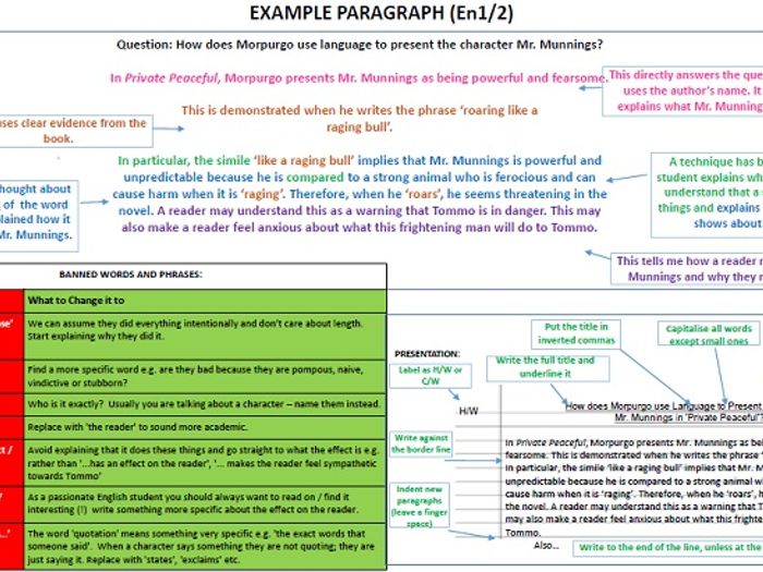 Essay writing year 8