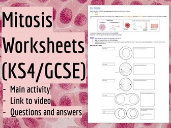 Mitosis (KS4/GCSE)