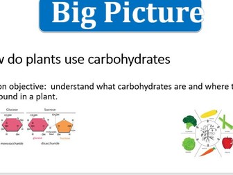 Carbohydrates in Plants Practical