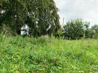 The Lake Isle of Innisfree