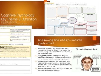 OCR A Level Psychology Cognitive Area Key Theme 2 Attention Bundle