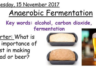AQA Biology (9-1) Anaerobic Fermentation