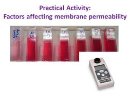 Signalling Factors & Membrane Permeability
