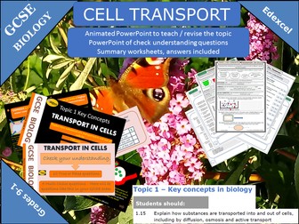 Cell Transport