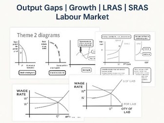 Economics Theme 2: Performance and Policies