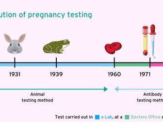 History of pregnancy testing