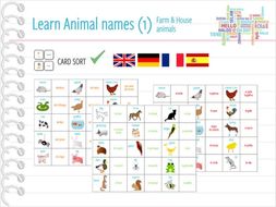 Farm & house animals / animal names - CARD SORT / MEMORY GAME
