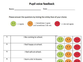 Pupil Voice questionnaire for children in KS2