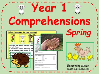 Year 1 Spring Reading Comprehensions