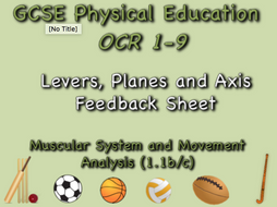 GCSE OCR PE (1.1b/c) Muscular System and Movement Analysis Levers feedback sheet