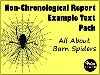 Spider Non-Chronological Report Example Text Pack
