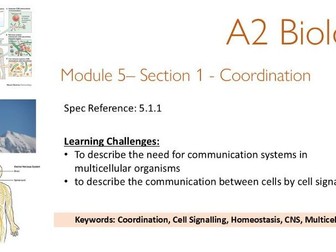 OCR A Level Biology - Muscles and Nervous System