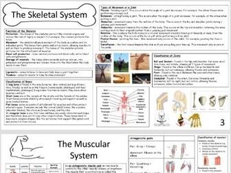 KS3 PE Theory Knowedge Organisers