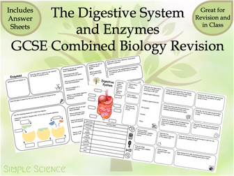 The Digestive System and Enzymes  Revision Mats - AQA Combined Biology GCSE