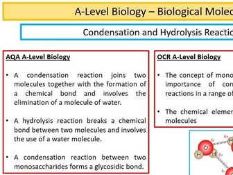 Condensation & Hydrolysis Reactions A-Level Biology
