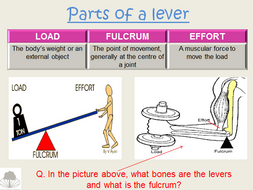 OCR GCSE PE Movement Analysis - Levers and Planes | Teaching Resources