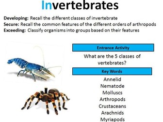 GCSE Biology: Invertebrates (Lesson 5)