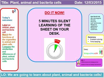 Animal, plant and bacteria cells bundle