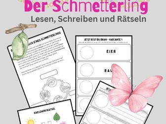 German - the lifecycle of the butterfly
