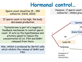Unit 9 Aim C L2- Male Reproductive Processes