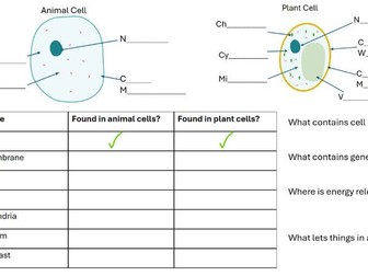 Cell structure worksheet with support