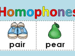 homophone worksheet years 4 5 teaching resources