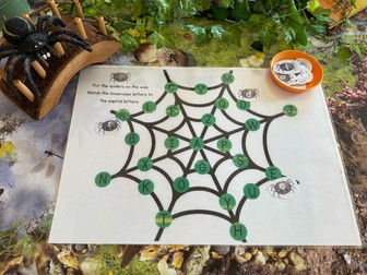 Spiderweb Uppercase and Lowercase Letter Matching Game