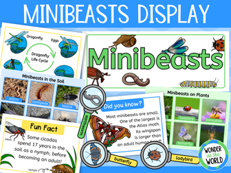 Minibeasts Bugs Classroom Display Pack KS1