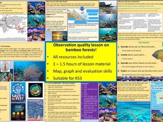 KS3 Geography: Coral Reef Lesson. Observation quality! Oceans, seas and environment focus.