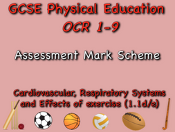 GCSE OCR PE (1.1d/e) Cardiovascular, Respiratory Systems and Effects of Exercise Mark Scheme