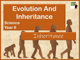 Science- Evolution and Inheritance- Inheritance- Year 6