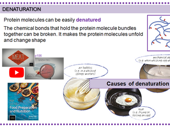 Function of proteins (Coagulation & Denaturation)