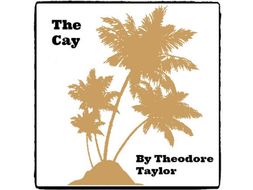 the cay novel