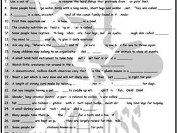 Pets and Pet Care 1 Page BW Worksheet