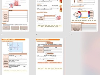 A Level PE - Respiratory System Worksheets and Answers.