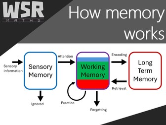 Understanding Memory Presentation