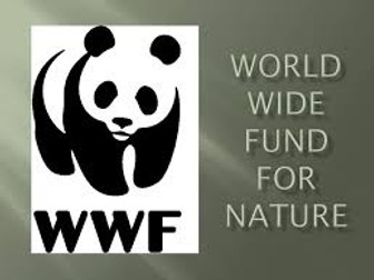 World Wide Fund of Nature - Presentation Unit of Work