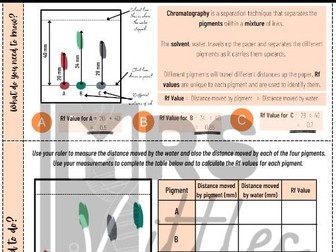 Calculating Rf Values Guided Worksheet