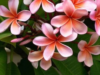 25 X A3 Hi - Res Inspirational Photographs