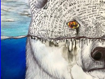 Polar Bears and Their Changing World - Reading Comprehension