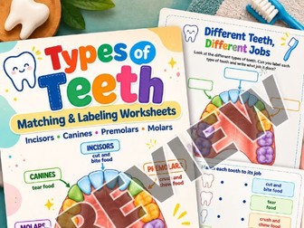Types of Teeth Worksheets, Matching & Labeling Activities, Dental Health