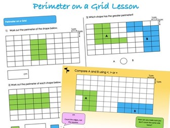Year 4 Length and Perimeter - Perimeter on a Grid Lesson
