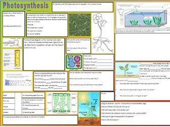 Photosynthesis revision