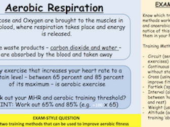 Energy and Sources in Exercise