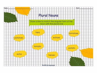 Nouns singular and plural | Teaching Resources