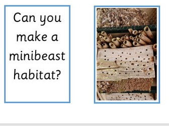Tolbys frame- Can you make a minibeast habitat?