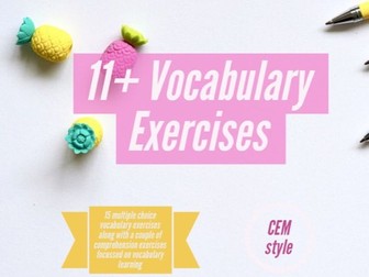 11+ CEM Vocabulary